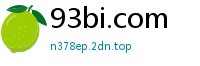 93bi.com